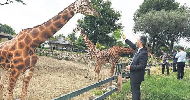 zoos in Türkiye, Bursa Zoo