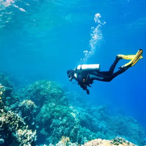 Diving-trip-in-Kemer-1