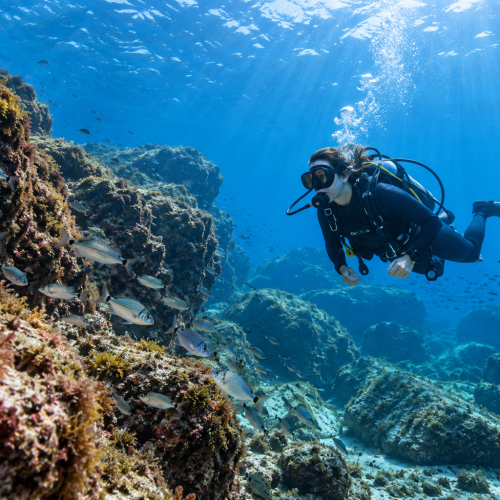 Illustrative scuba diving scene near the Istanbul Islands in the Sea of Marmara